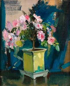 Camellia, c.1920 (panelde yağlı boya) by Sunderland Rollison