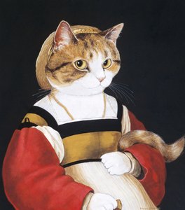 Cats Galore