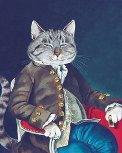Cats Galore