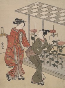 Krizantem Görüntüleme by Suzuki Harunobu