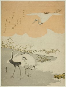 Deniz Kıyısında Vinçler by Suzuki Harunobu