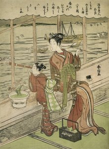 Çift Çiçekli Kiraz: Minami Yamasakiya