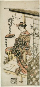 Aktör Segawa Kikunojo II, "Hiragana Seisuiki" oyununda fahişe Umegae olarak Ichimura Tiyatrosu