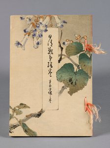Nisshin sensō emaki (Japonya ve Çin arasındaki Savaşlar), Cilt 5, Heijō no kan (Ping Yang)