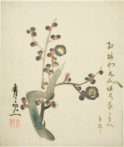  by Suzuki Kiitsu