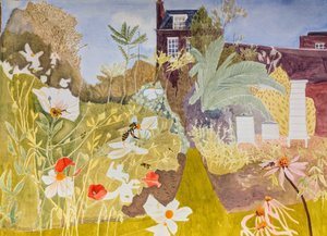  by Suzy Fasht