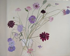  by Suzy Fasht