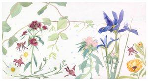  by Suzy Fasht