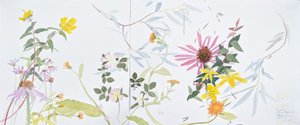  by Suzy Fasht