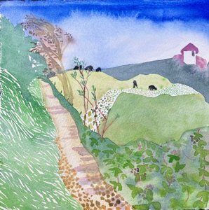 by Suzy Fasht