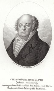 Karl Asmund Rudolphi by Swedish School