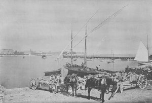 Geneve, Le Port (s/b fotoğraf) by Swiss Photographer