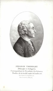 İbrahim Trembley by Swiss School