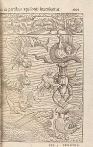 Sayfa 1005, Cosmographiae Universalis, Sebastian Muenster, Basel, 1572 by Swiss School