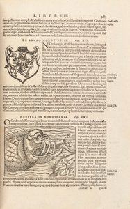 Sayfa 983, Sebastian Muenster, Basel, 1572 tarafından yazılan Cosmographiae Universalis