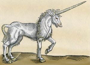 Tek boynuzlu at, Conrad Gesner tarafından Historia Animalium