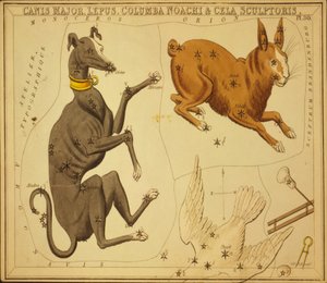 Köpek Binbaşı, Tavşan, Columba Noah ve Cela Heykeltıraş, 