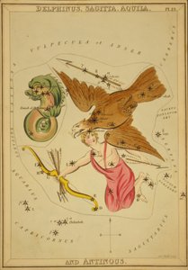 Delphinus, Sagitta, Aquila ve Antinous, 