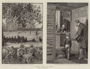 Eton