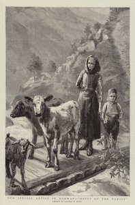 Norveç