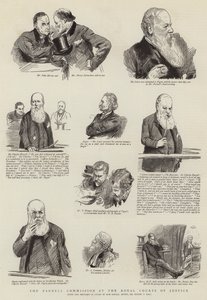 Kraliyet Adalet Mahkemelerinde Parnell Komisyonu by Sydney Prior Hall