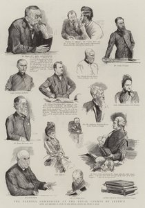 Kraliyet Adalet Mahkemelerinde Parnell Komisyonu by Sydney Prior Hall