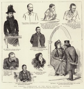 Kraliyet Adalet Mahkemelerinde Parnell Komisyonu by Sydney Prior Hall