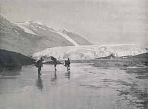 Alcove Kampından Denize Paketleme, c1911, 1913