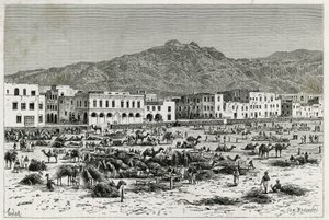 Aden (Yemen) yürüyüşü. Taylor