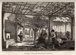 Villa Menton, Taylor