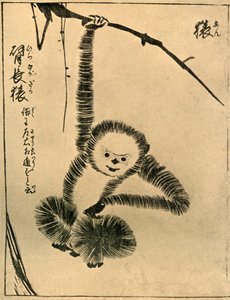Maymun, 1720, 1924.