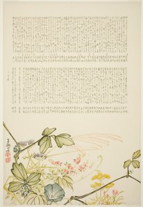  by Tanaka Nangai