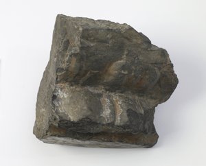 Lotus kaidesinin parçası