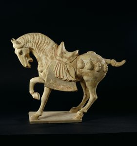 At, Çin, Tang Hanedanlığı, MS 618-906 (çömlek)
