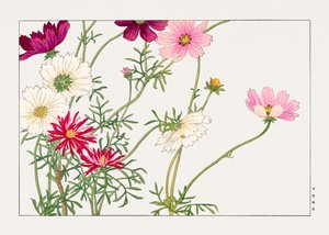  by Tanigami Konan