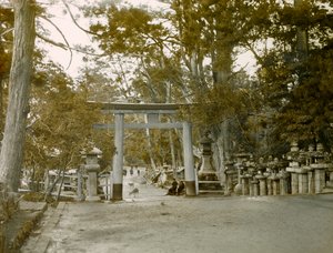 Kasauga Taisha Parkı