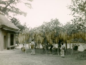 Kyoto
