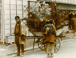 Tokyo sokaklarında seyyar çiçek satıcısı, 1900 - 1915 civarı (fotoğraf)