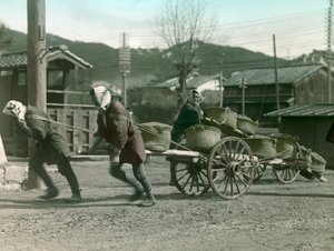 Bir arabanın üzerinde pirinç çuvalları çeken Japon köylüler, 1900-1915 civarı (fotoğraf)