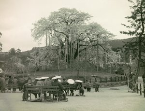  by Teijiro Takagi