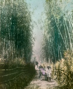  by Teijiro Takagi