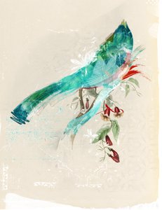Kuş Silüeti, 2017 (Tuval üzerine kolaj)