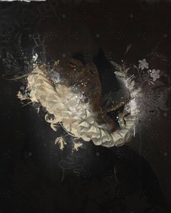 CollarFloral, 2017 (Tuval üzerine kolaj) by Teis Albers