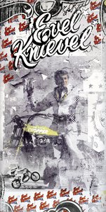 Evel Knievel, 2015 (Tuval üzerine kolaj) by Teis Albers