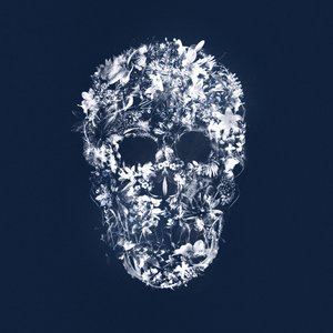 FloralSkull, 2018 (tuval üzerine karışık teknik) by Teis Albers