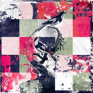 Doğal Yorgan, 2013 (Tuval üzeri kolaj) by Teis Albers