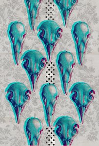 Kafatasları Serisi, 2016 (Tuval üzerine kolaj) by Teis Albers