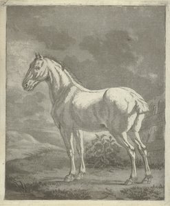 Çayırda kalıp by Tethart Philip Christian Haag