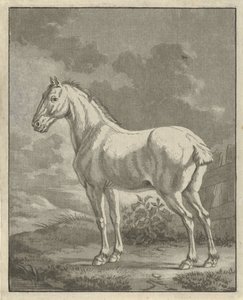 Çayırda kalıp by Tethart Philip Christian Haag