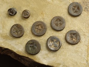 Srivijaya Krallığı
